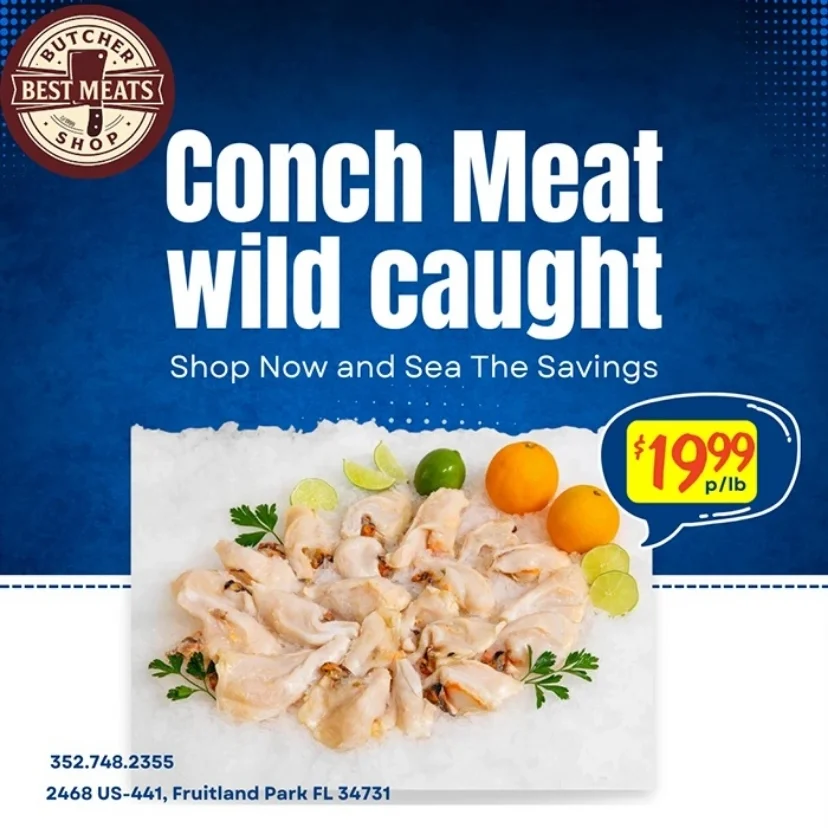 img-Conch-24